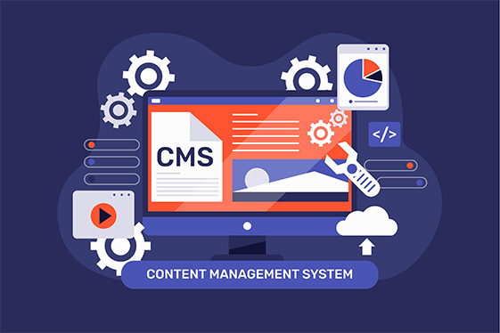 CMS Solutions